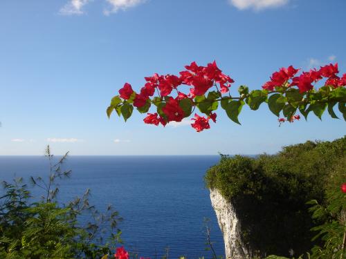 グアム　レンタサイクル　恋人岬