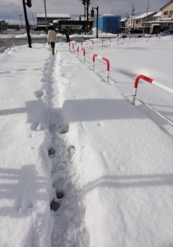 初詣　お正月　成田山不動院