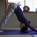 ヨガ　アーサナ　アド―ムカシュヴァナーサナ　ダウンドッグ