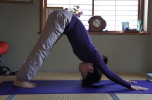 ヨガ　アーサナ　アド―ムカシュヴァナーサナ　ダウンドッグ
