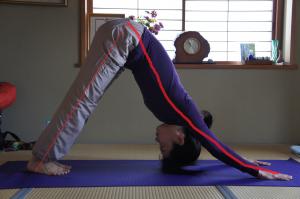 ヨガ　アーサナ　アド―ムカシュヴァナーサナ　ダウンドッグ