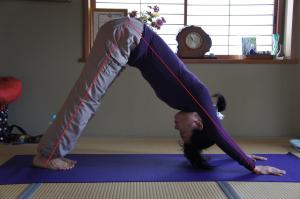 ヨガ　アーサナ　アド―ムカシュヴァナーサナ　ダウンドッグ