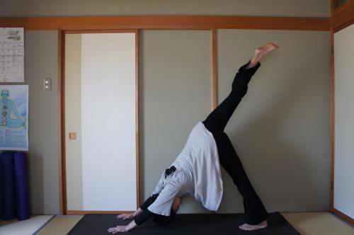 エーカバーダ・アド・ムカ・シュヴァーナ・アーサナ　ヨガ