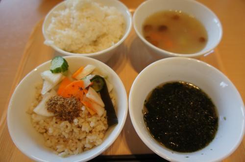 越後妻有　大地の芸術祭