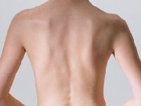 ヨガ 整体 肩甲骨