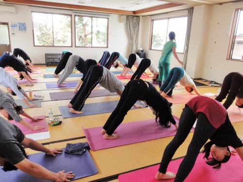 アシュタンガヨガ・フルプライマリー　アド―ムカシュヴァナーサナ　ダウンドッグ　アーサナ