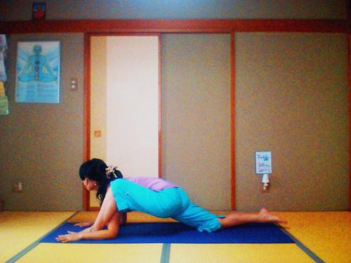 陰ヨガ　ゲッコー　やもりのポーズ　ヨガ　アーサナ