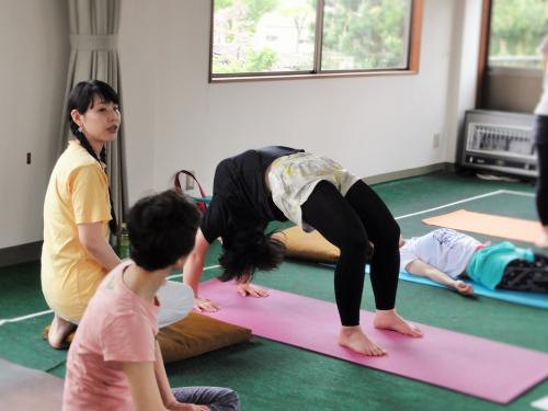 シバナンダヨガ　アシュタンガヨガ　ウールドヴァダヌラーサナ