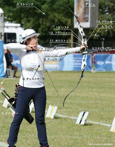 上向きの弓のポーズ　フリッジ