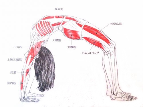 ウールドヴァダヌラーサナ