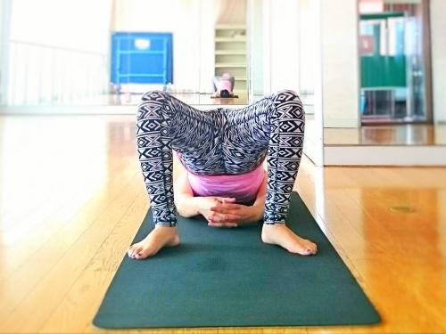 セートゥ・バンダーサナ