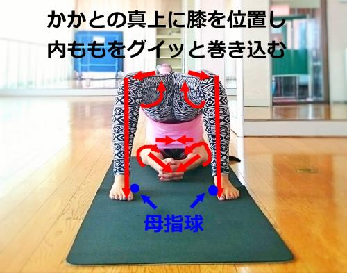 セートゥ・バンダーサナ