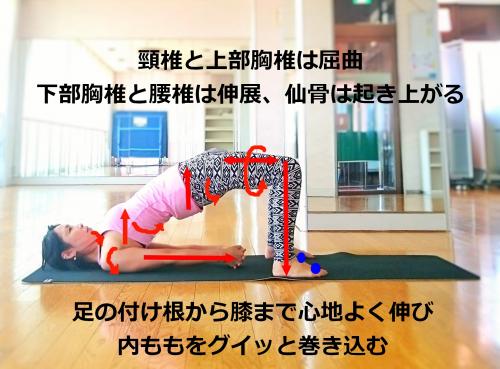 セートゥ・バンダーサナ