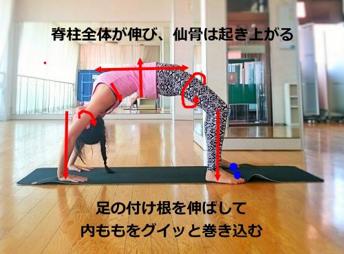 ウールドヴァ・ダヌラーサナ