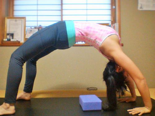 ウールドヴァ・ダヌラーサナ