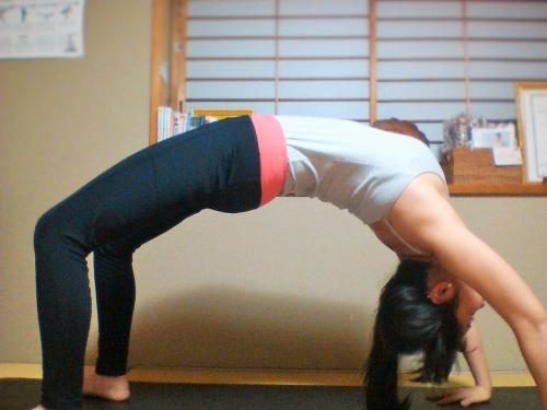 ウールドヴァ・ダヌラーサナ