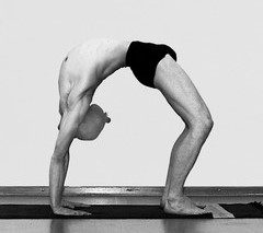 ウールドヴァ・ダヌラーサナ