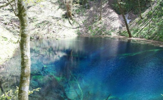 白神山地　青池　十二湖