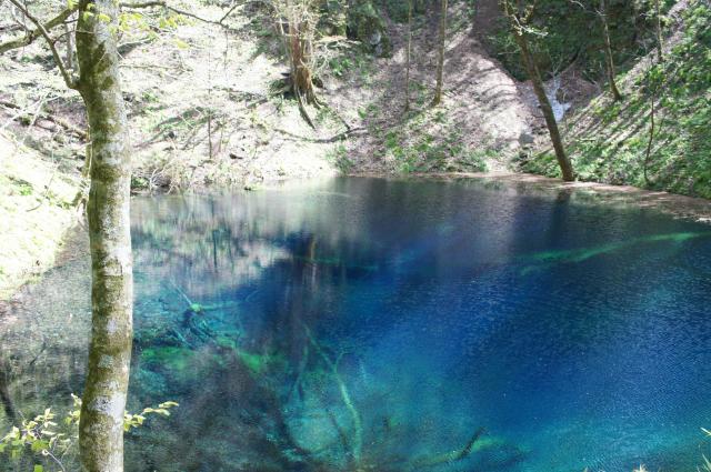 白神山地　青池　十二湖