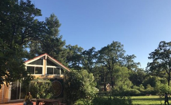 シバナンダヨガ　ヨガファーム