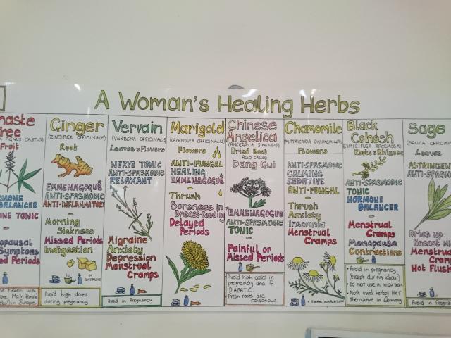 バイロンヨガセンター　ハーブティ