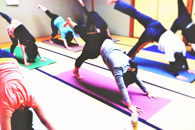 ヴィンヤサフロー　長岡市　ヨガ