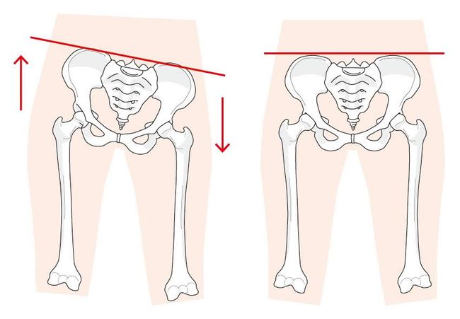 骨盤ヨガ　長岡市　新潟日報