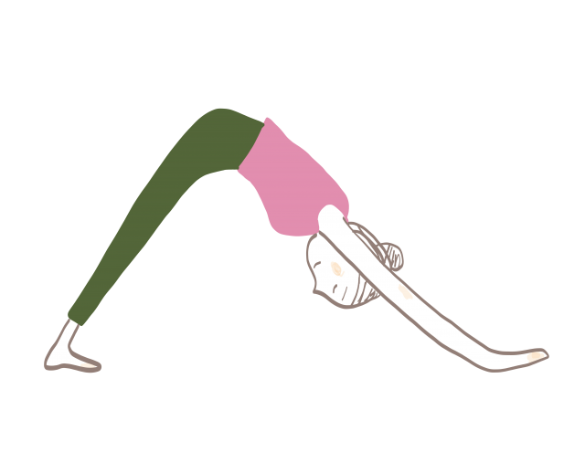 ヨガ　ポーズ　ダウンドッグ