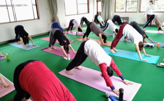 太陽礼拝＆月礼拝　ヨガ　アーサナ