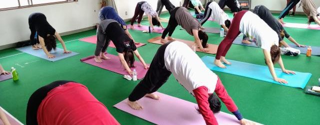 太陽礼拝＆月礼拝　ヨガ　アーサナ