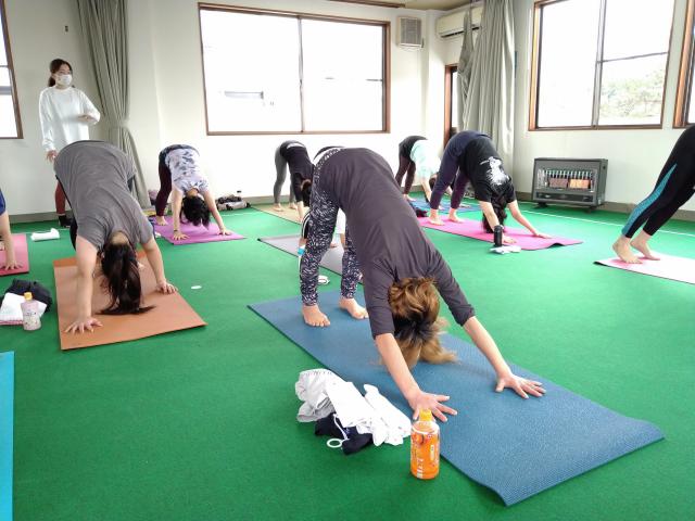 太陽礼拝＆月礼拝　ヨガ　アーサナ