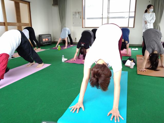 太陽礼拝＆月礼拝　ヨガ　アーサナ