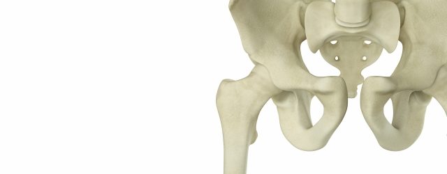 ヨガ解剖学　骨盤　新潟県長岡市