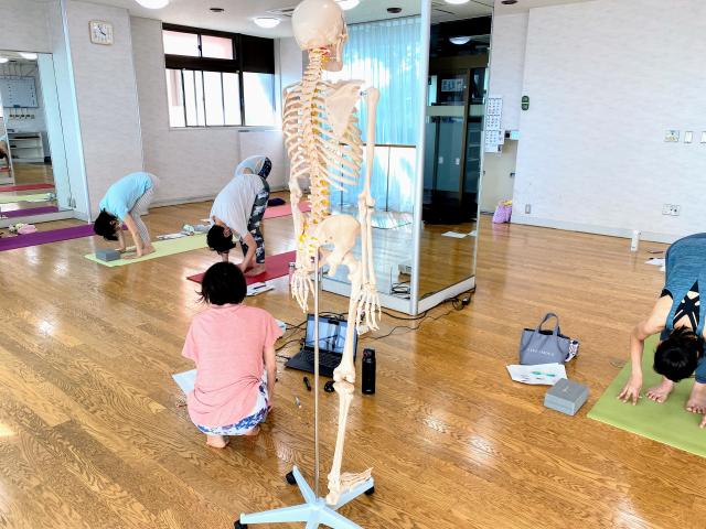 新潟県長岡市　ヨガ解剖学　太陽礼拝