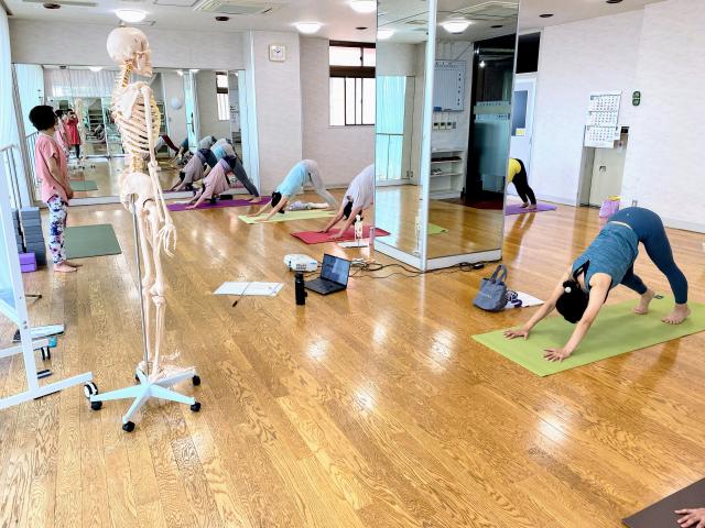 新潟県長岡市　ヨガ解剖学　太陽礼拝