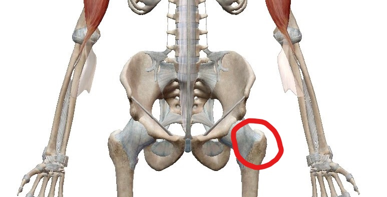 新潟県長岡市　ヨガ解剖学　太陽礼拝