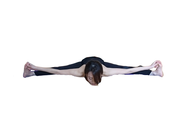 陰ヨガ　開脚　アーサナ