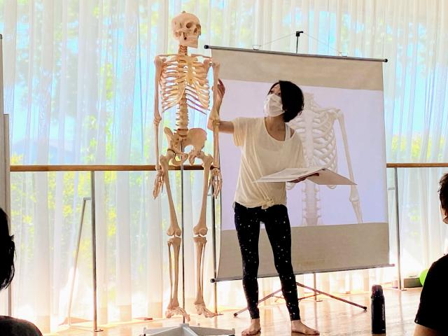 ヨガ解剖学　理学療法士　Mie
