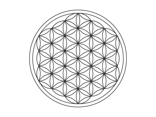 フラワーオブライフ　ヨガッサTシャツ