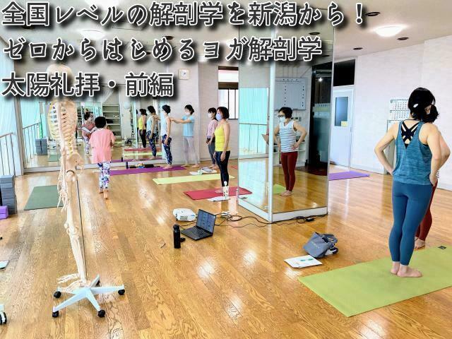 ヨガ解剖学　新潟県長岡市　アーサナ