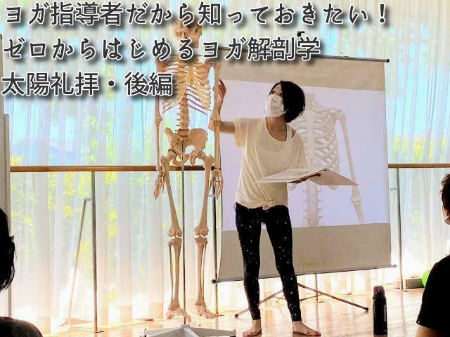 ヨガ解剖学　新潟県長岡市　アーサナ