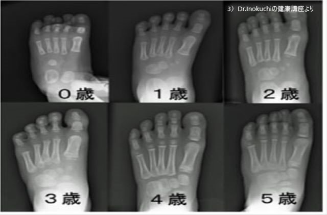 子供の足　ヨガ解剖学
