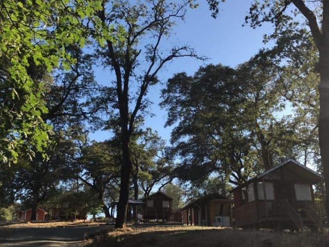 アメリカ カルフォルニア ヨガファーム